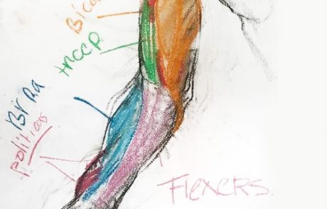 Noella Roos Anatomy Students Drawing